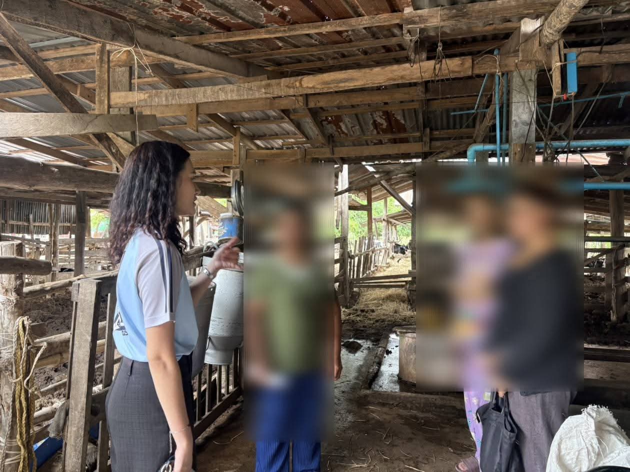 อำเภอบ้านหมี่ โดยสำนักงานพัฒนาชุมชนอำเภอบ้านหมี่ ลงพื้นที่ตรวจสอบในการพิจารณาโครงการโคเนื้อขุนที่จะยื่นขอกู้กองทุนพัฒนาบทบาทสตรี 