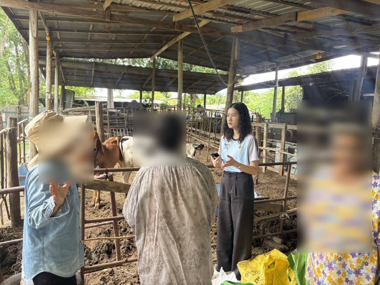 อำเภอบ้านหมี่ โดยสำนักงานพัฒนาชุมชนอำเภอบ้านหมี่ ลงพื้นที่ตรวจสอบในการพิจารณาโครงการเลี้ยงโคขุนเพศผู้ที่จะยื่นขอกู้กองทุนพัฒนาบทบาทสตรี 💸